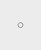 Fox O-Ring (Single)