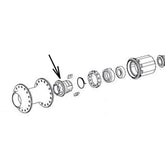 Dt Swiss Spare Dt Pawl Carrier Onyx