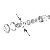 Dt Swiss Spare Dt Pawl For Onyx