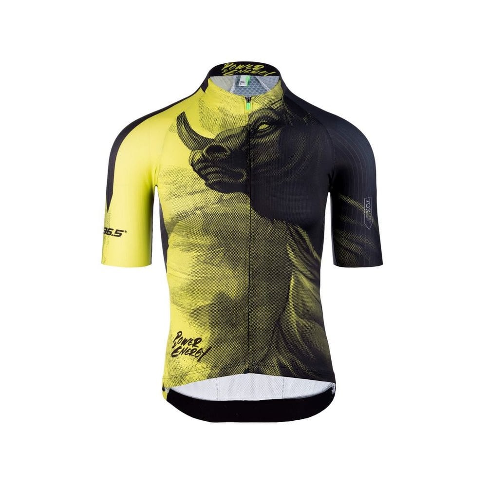 Q36.5 Jersey Shortsleeve R2 | Swinnerton Cycles