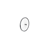 Bontrager Approved TLR 36H 700c clincher road front wheel in black, showing the wheel rim and spokes without cassette.