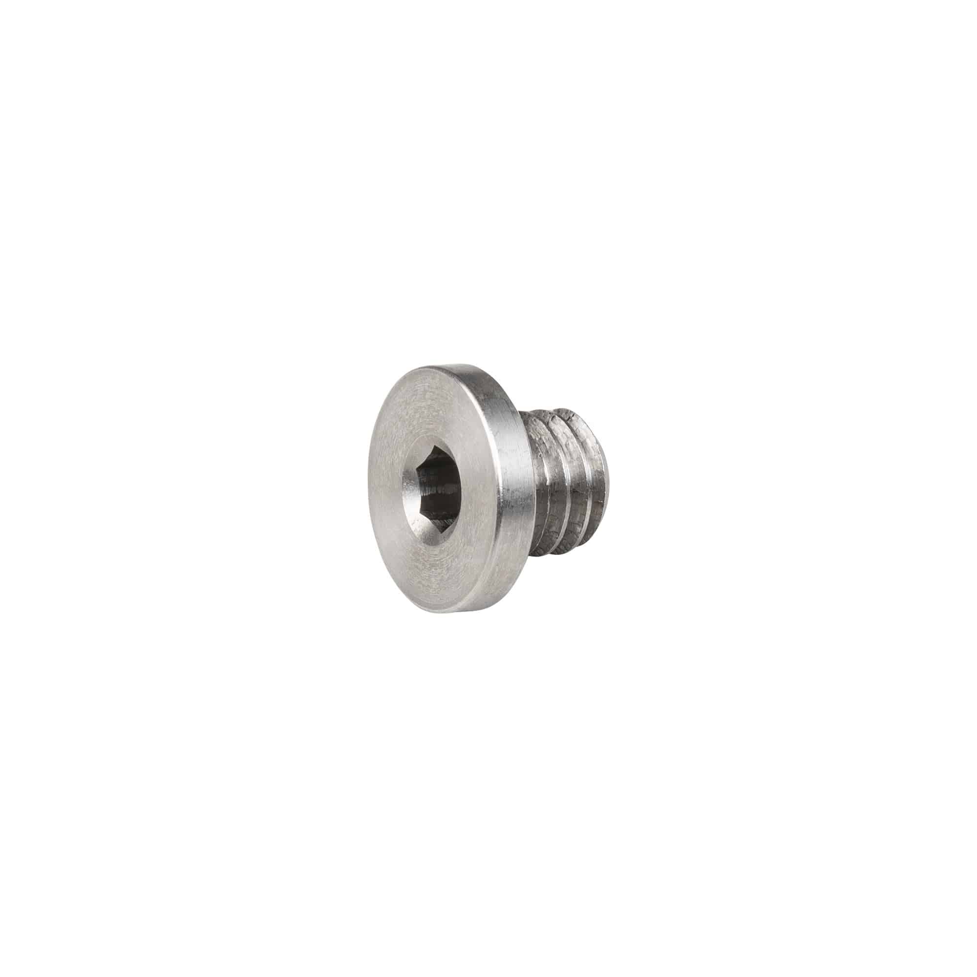 Silver Trek derailleur hanger button head bolt, 6mm x 4mm, for bike frame components, shown in close-up.