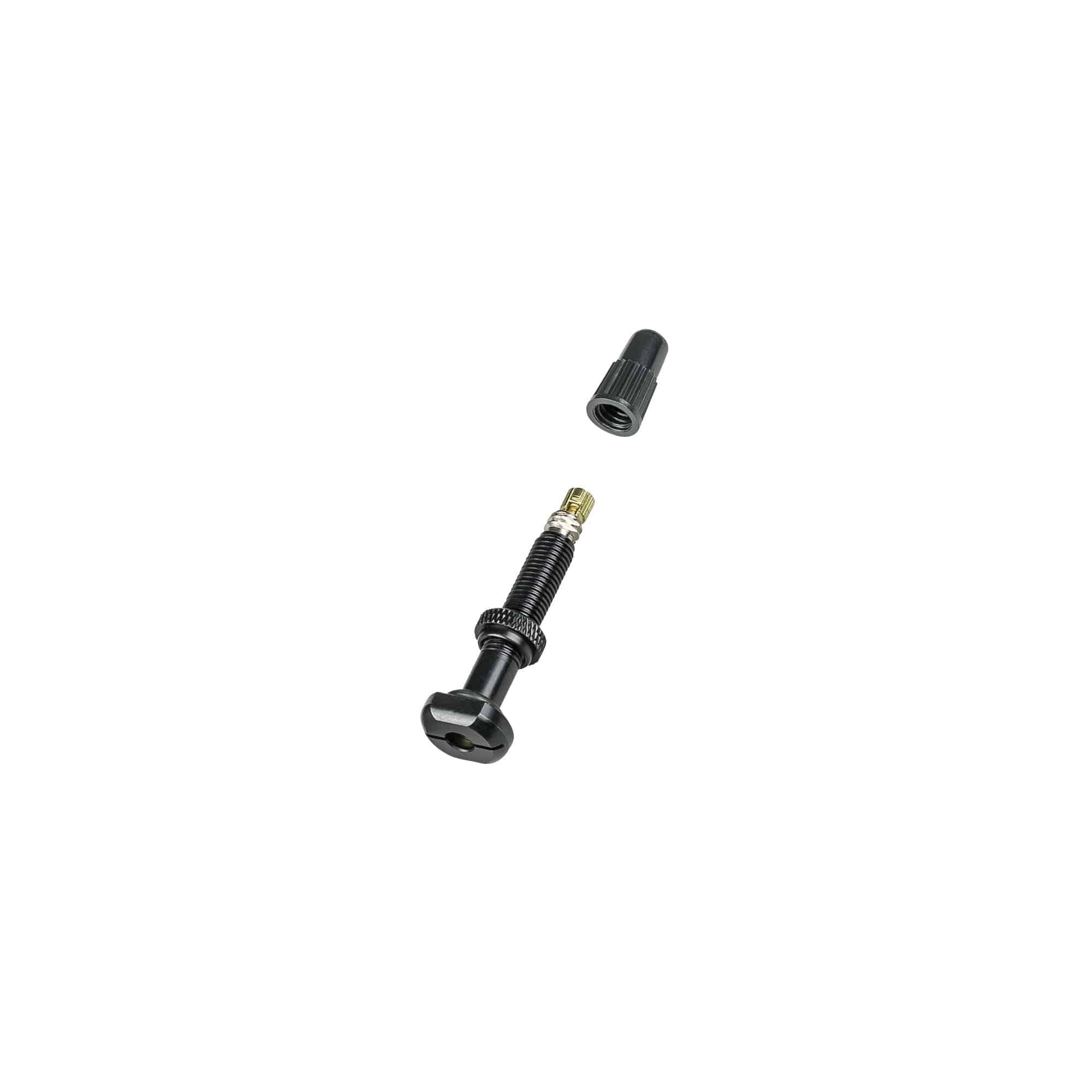 Bontrager round base TLR tubeless valve stem with removable core for bicycle wheels, component for tubeless tire setup.
