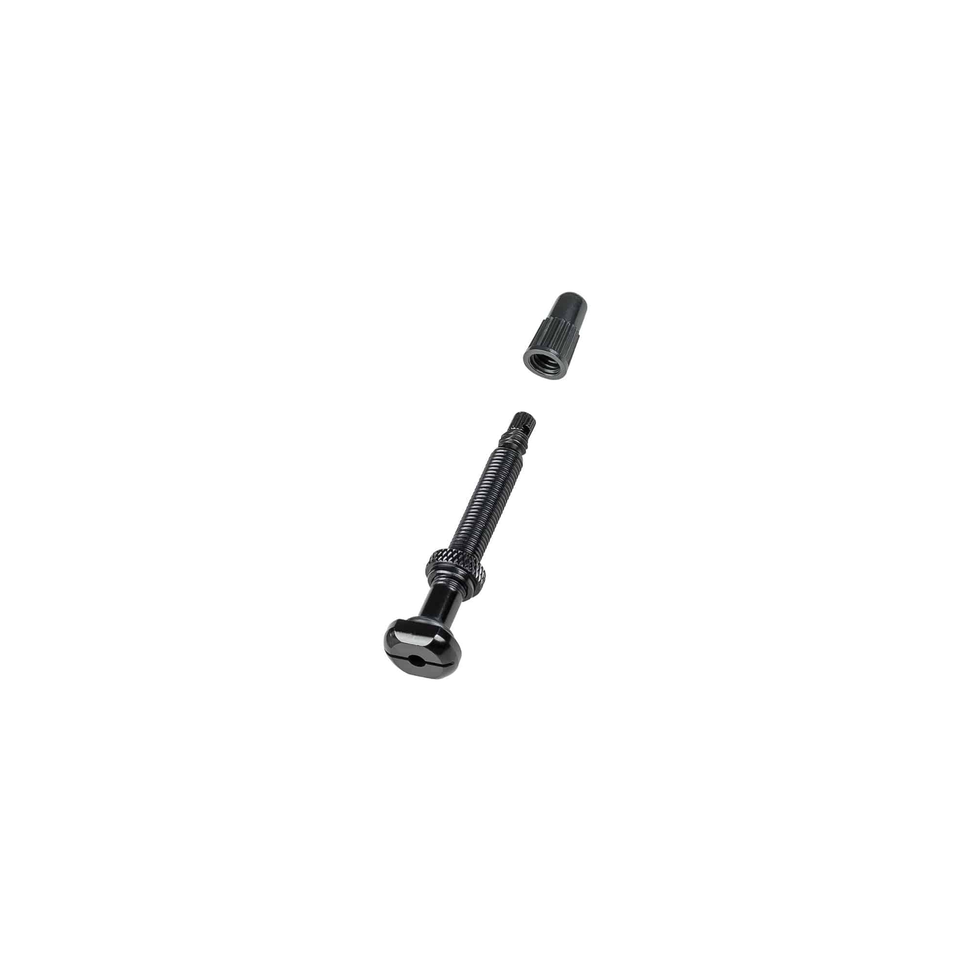 Bontrager round TLR tubeless valve stem with removable core for bike wheels, made of durable components for easy inflation and maintenance.