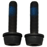 Campagnolo rear mount screws for 20-24mm frame tubes, 29mm length, 2-pack, bicycle component spares.