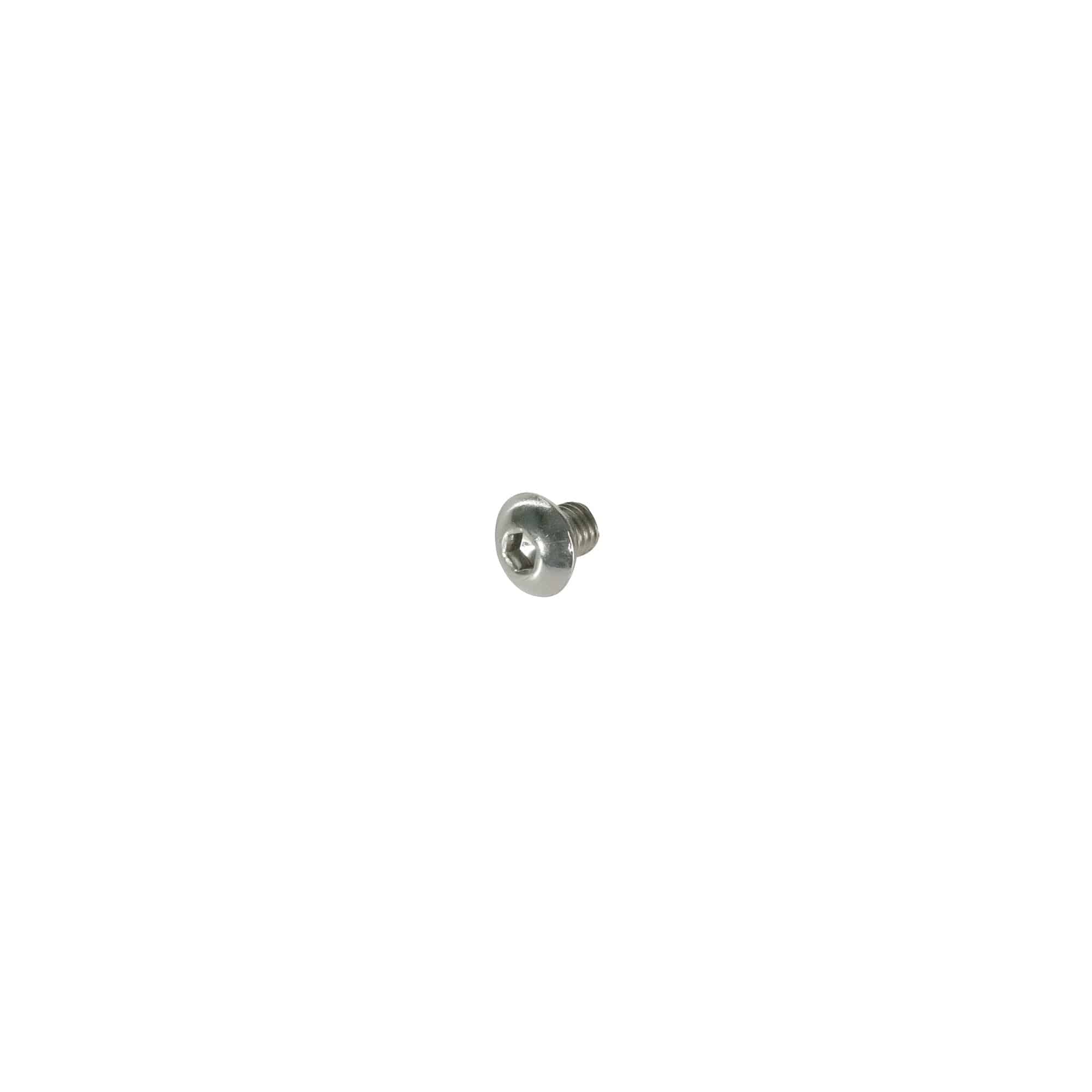 Trek silver carbon MTB derailleur hanger button head bolt for bike components on carbon frames.