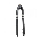 Trek Verve Steel 700C disc brake forks for road bikes, showing the steel construction and disc brake mounts.