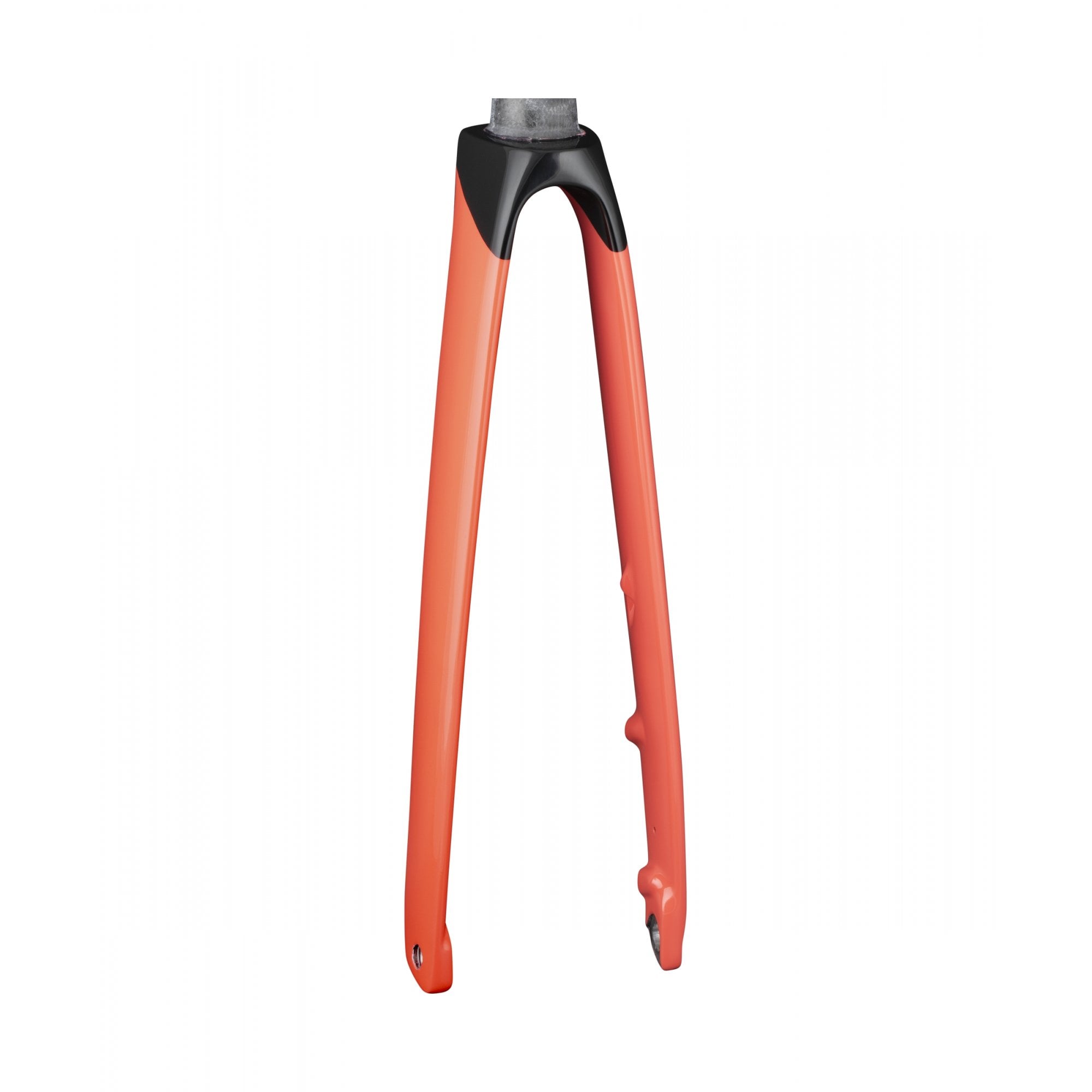 Trek Speed Concept SLR rigid fork for road bikes, featuring precise steering and control, shown on a sleek bike component.