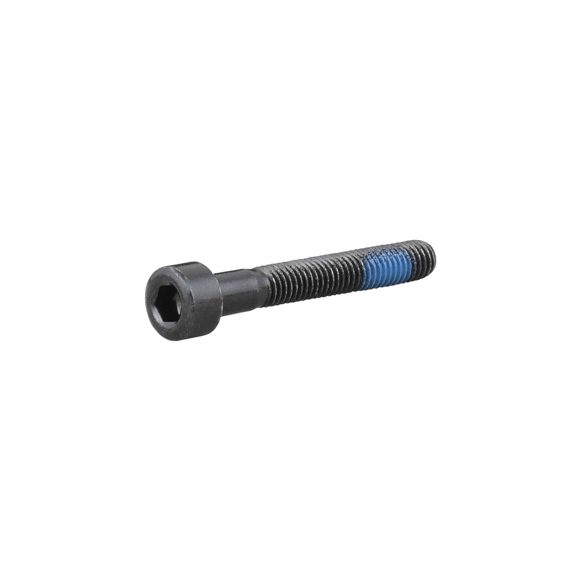 Trek bike frame fastener M5x25mm hex socket bolt for bike components, metal hardware used for secure mounting.
