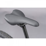 Ridgeback Terrain 4 Mountain Bike