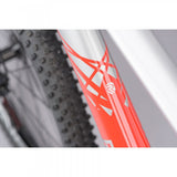 Ridgeback Terrain 4 Mountain Bike