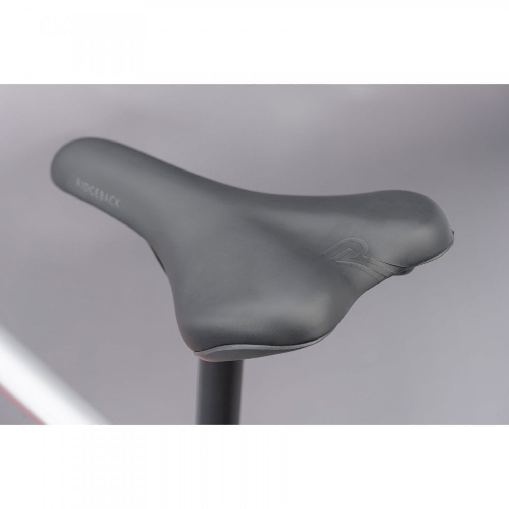 Ridgeback Terrain 4 Mountain Bike