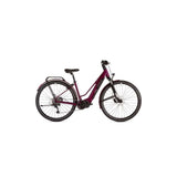 Ridgeback Advance 2W e-Mountain Bike