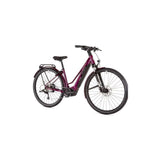 Ridgeback Advance 2W e-Mountain Bike