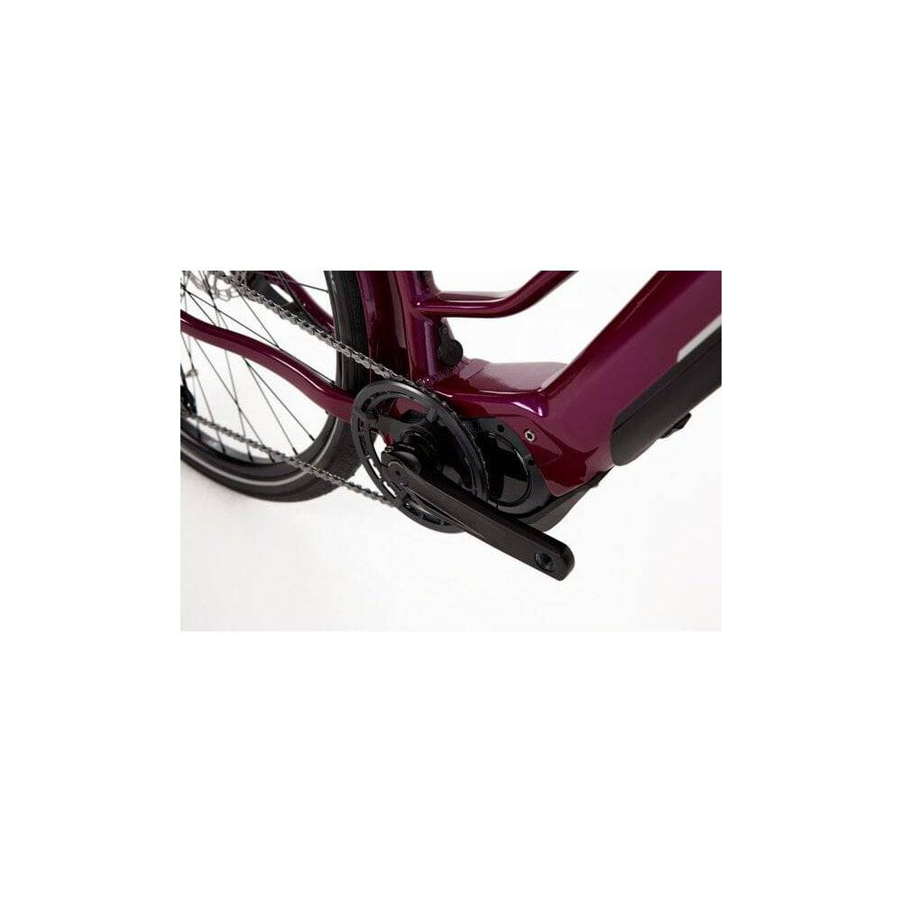 Ridgeback Advance 2W e-Mountain Bike