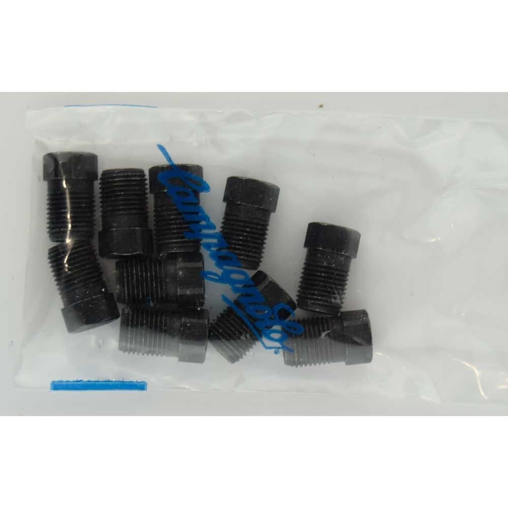 Campagnolo disc brake hose spares and accessories for reliable bicycle brake performance, shown in an organized display.
