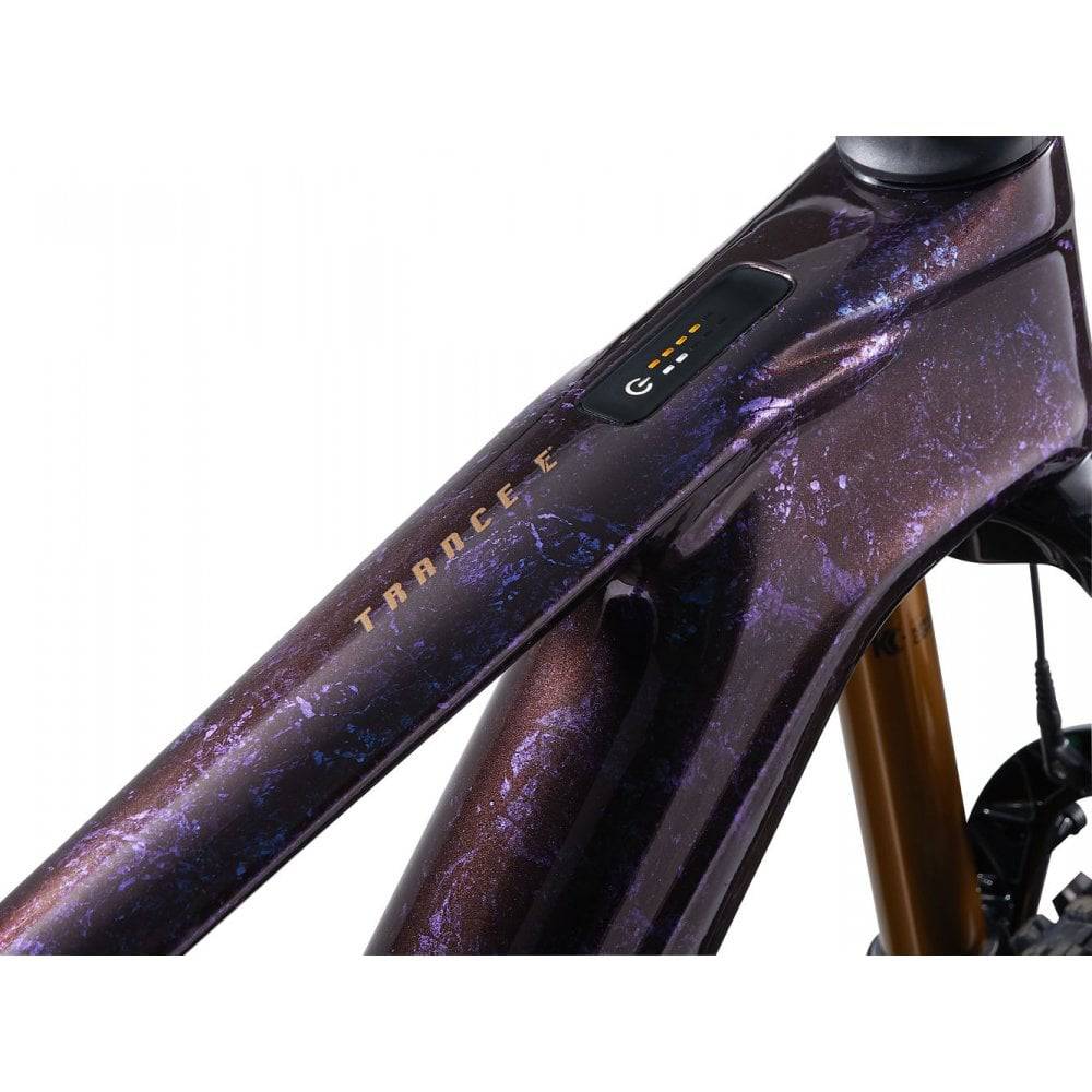 Giant Trance X Advanced E+ EL 0 25km/h e-Mountain Bike
