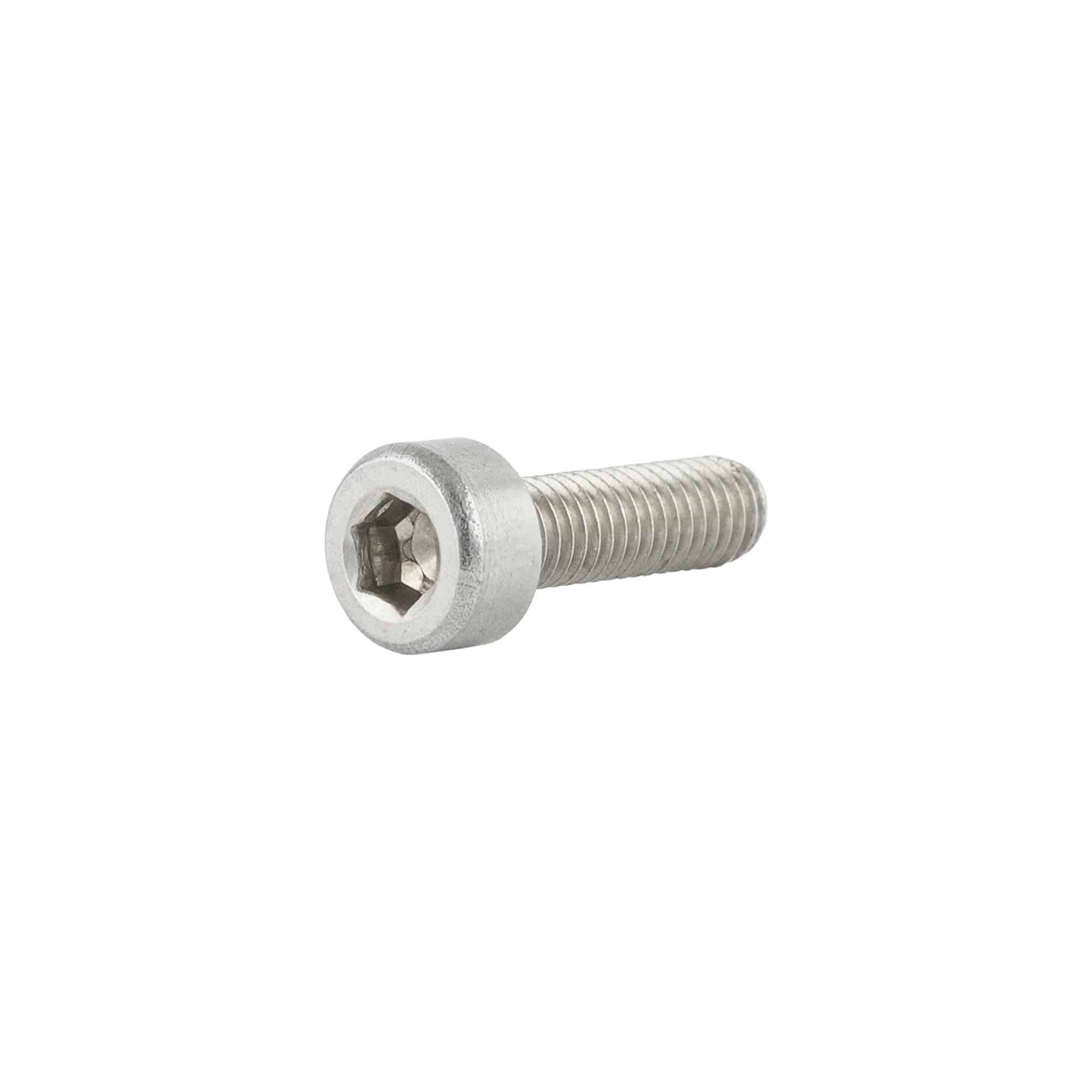 Trek M3x0.5 silver socket head cap screws, M3 x 10mm bike fasteners, metal components for bicycle assembly.