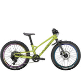 Trek Wahoo 20 Trail Childs Bike