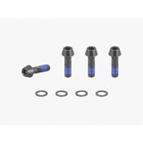Black Trek E-Caliber 29 chainstay bridge bolts, M6x1x20mm replacement hardware, close-up of bike component bolts