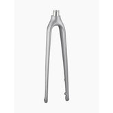 Trek FX Sport carbon disc fork with 12mm thru-axle and flat-mount calipers, showing the rigid fork design for bike components.