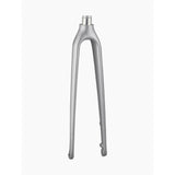 Trek FX Sport carbon disc fork with 12mm thru-axle and flat-mount calipers, showing the rigid fork design for bike components.