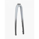 Trek 2021 Emonda Alr 5 700C Forks