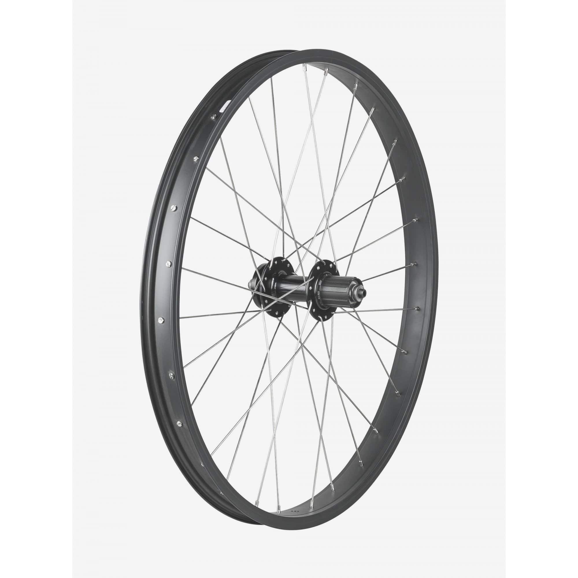 Trek Kids 24-inch mountain bike disc brake wheels with 28 holes and 6-bolt disc brake compatibility, suitable for children's bikes.