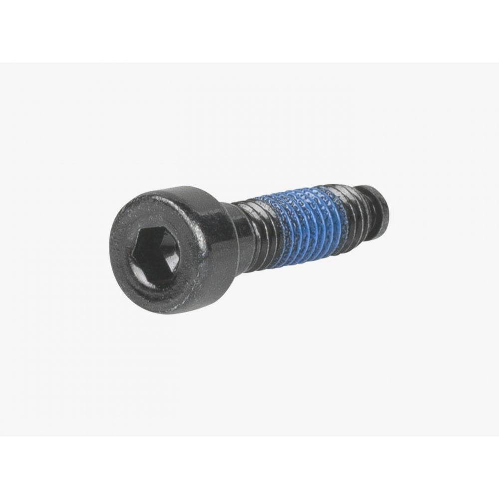 Trek Domane Gen4 bike seatpost wedge bolt M6 x 22mm in black, used for secure bicycle seatpost fastening.