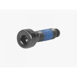 Trek Domane Gen4 bike seatpost wedge bolt M6 x 22mm in black, used for secure bicycle seatpost fastening.