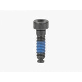Trek Domane Gen4 bike seatpost wedge bolt M6 x 22mm in black, used for secure bike seat fastening and component installation.