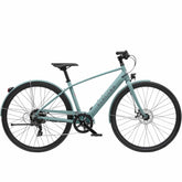 Electra Loft Go! 7D EQ Step-Over e-Hybrid Bike