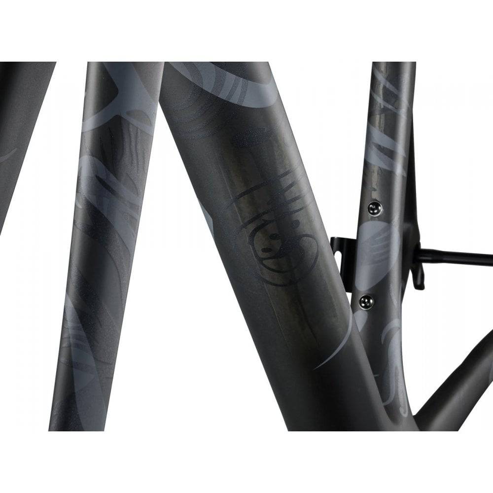 Giant TCR Advanced SL Disc-FF B road frameset with disc brake compatibility, 2024 model, showing carbon frame and sleek design.