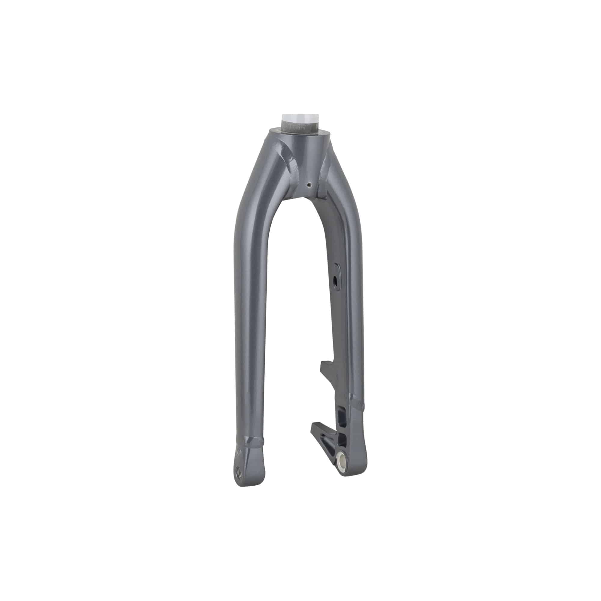 Trek Fetch+ 2 rigid front forks for road bikes, durable components designed for precise steering and reliable performance.