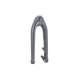 Trek Fetch+ 2 rigid front forks for road bikes, durable components designed for precise steering and reliable performance.