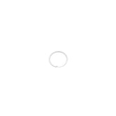 Fox Fork Retaining Ring: Internal Smalley Dnh-31-So2 302 Sst Spares & Accesories