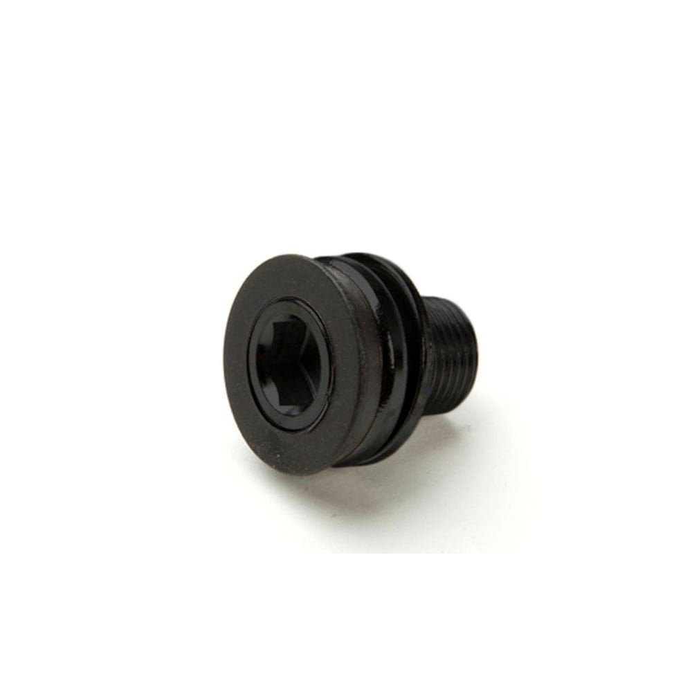 Race Face Bolt ISIS M15 replacement crank bolt for Evolve XC and Ride mountain bike cranksets, shown in close-up.
