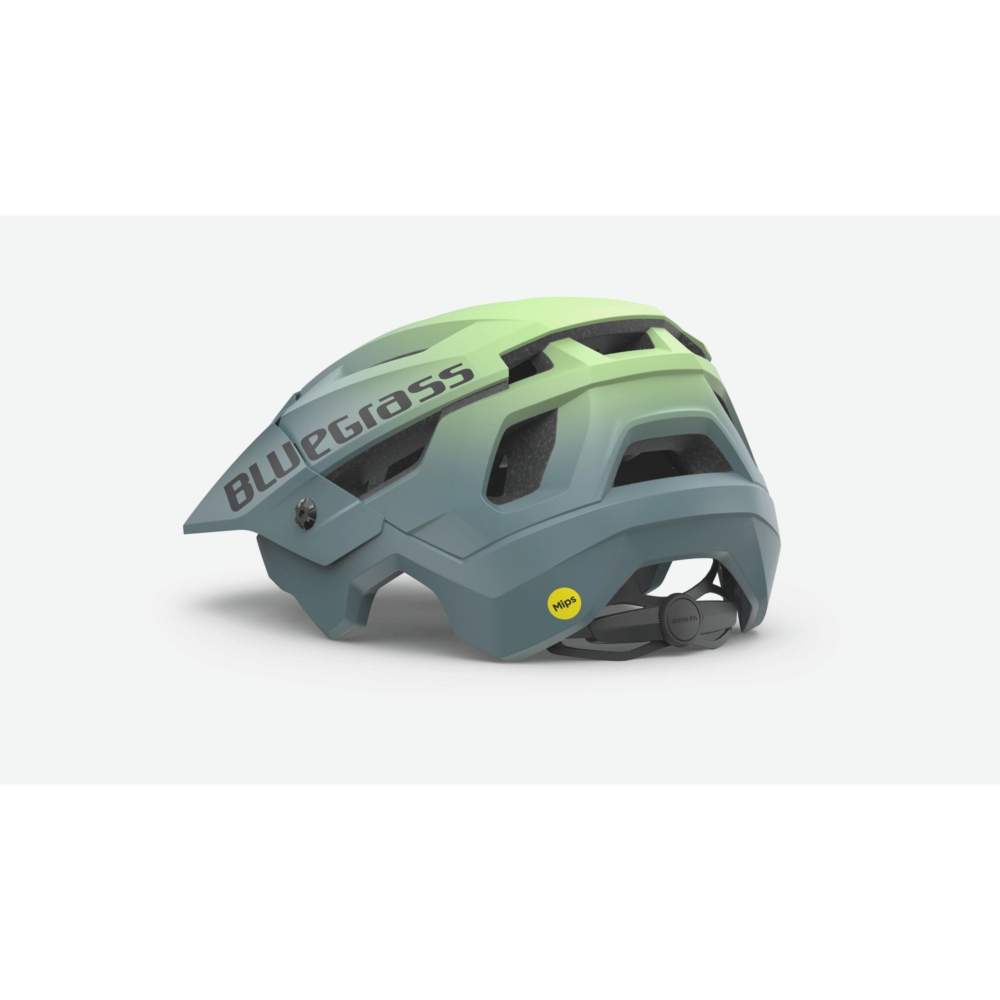 Bluegrass Rogue Core Mips Helmet