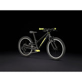 Trek Wahoo 20 Path Childs Bike