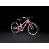 Trek Wahoo 20 Path Childs Bike