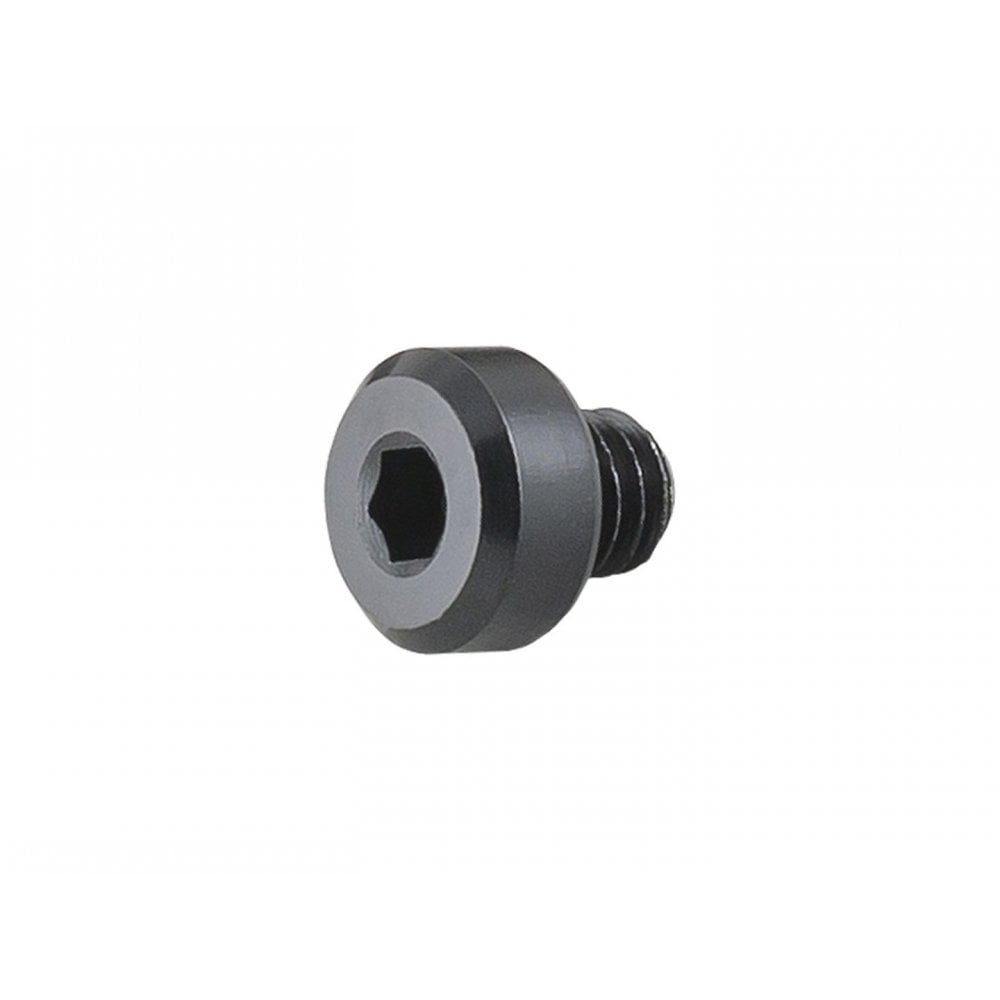 Trek Madone Speed Concept derailleur hanger bolt, M4 x 4mm black button head, bicycle component for bike maintenance