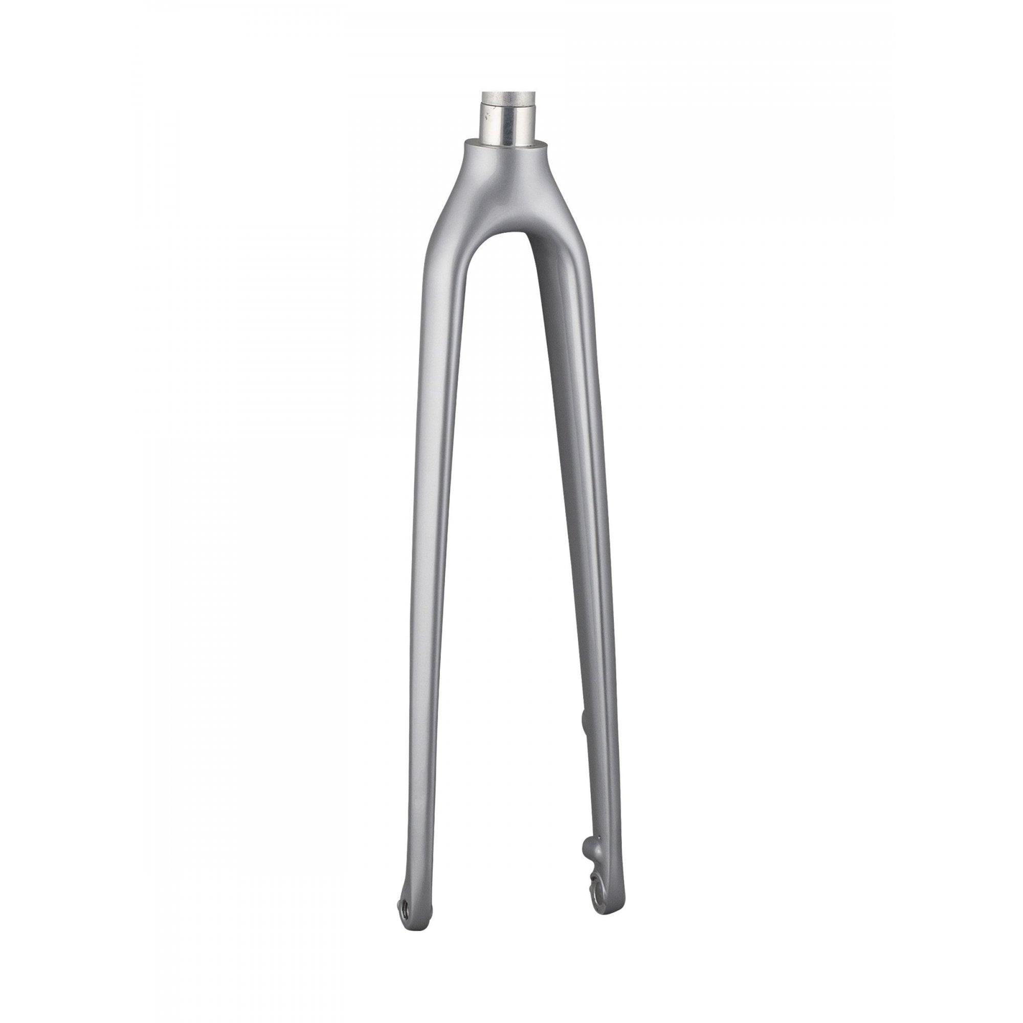 Trek FX Sport carbon disc fork with 12mm thru-axle and flat-mount calipers, showing the rigid fork design and brake mounting points.