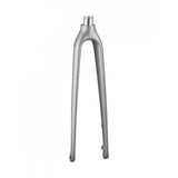 Trek FX Sport carbon disc fork with 12mm thru-axle and flat-mount calipers, showing the rigid fork design and brake mounting points.