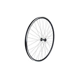 Bontrager Approved TLR 36H 700c clincher road front wheel in black, showing the wheel rim and spokes without cassette