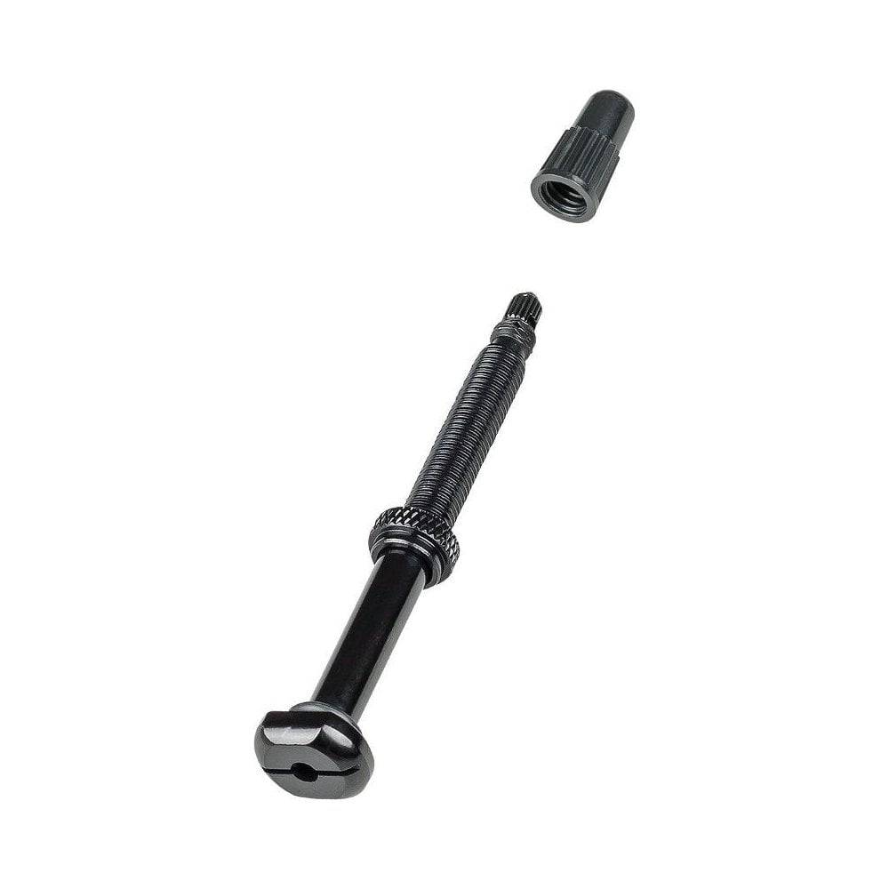 Bontrager round base TLR tubeless valve stem with removable core for bike wheel components, used for tubeless tire setup.