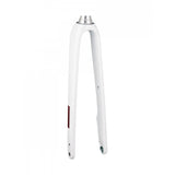 Trek Domane AL 3 2021 road bike disc brake fork, lightweight bike component with carbon fiber blades and disc mount.