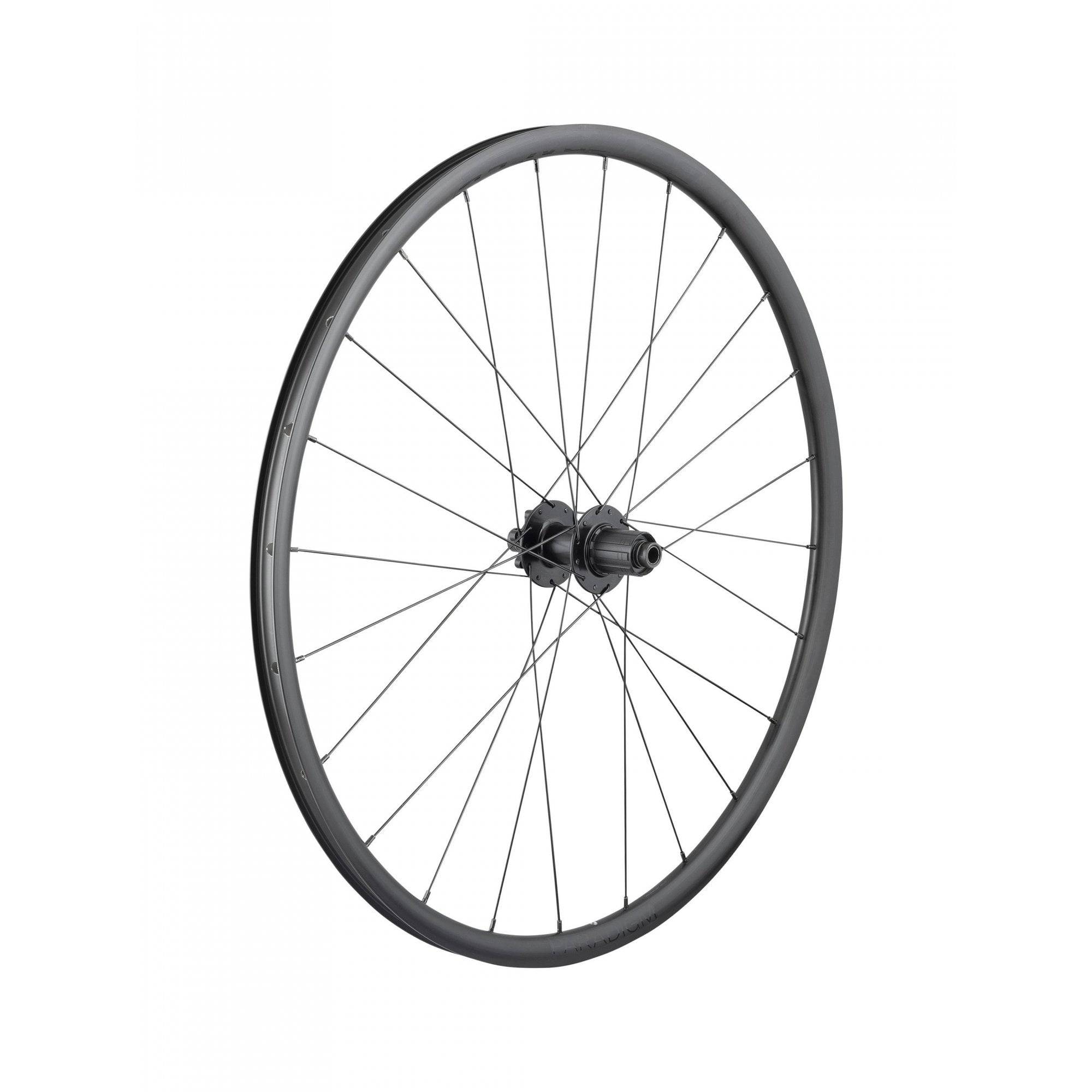 Bontrager Paradigm SL 700C road bike wheels with 24H rims and 6-bolt disc brake compatibility, showing the wheel and brake rotor.