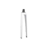Trek Rigid FX Sport Carbon Thru-Skew road bike fork showing lightweight carbon construction and precise handling features.
