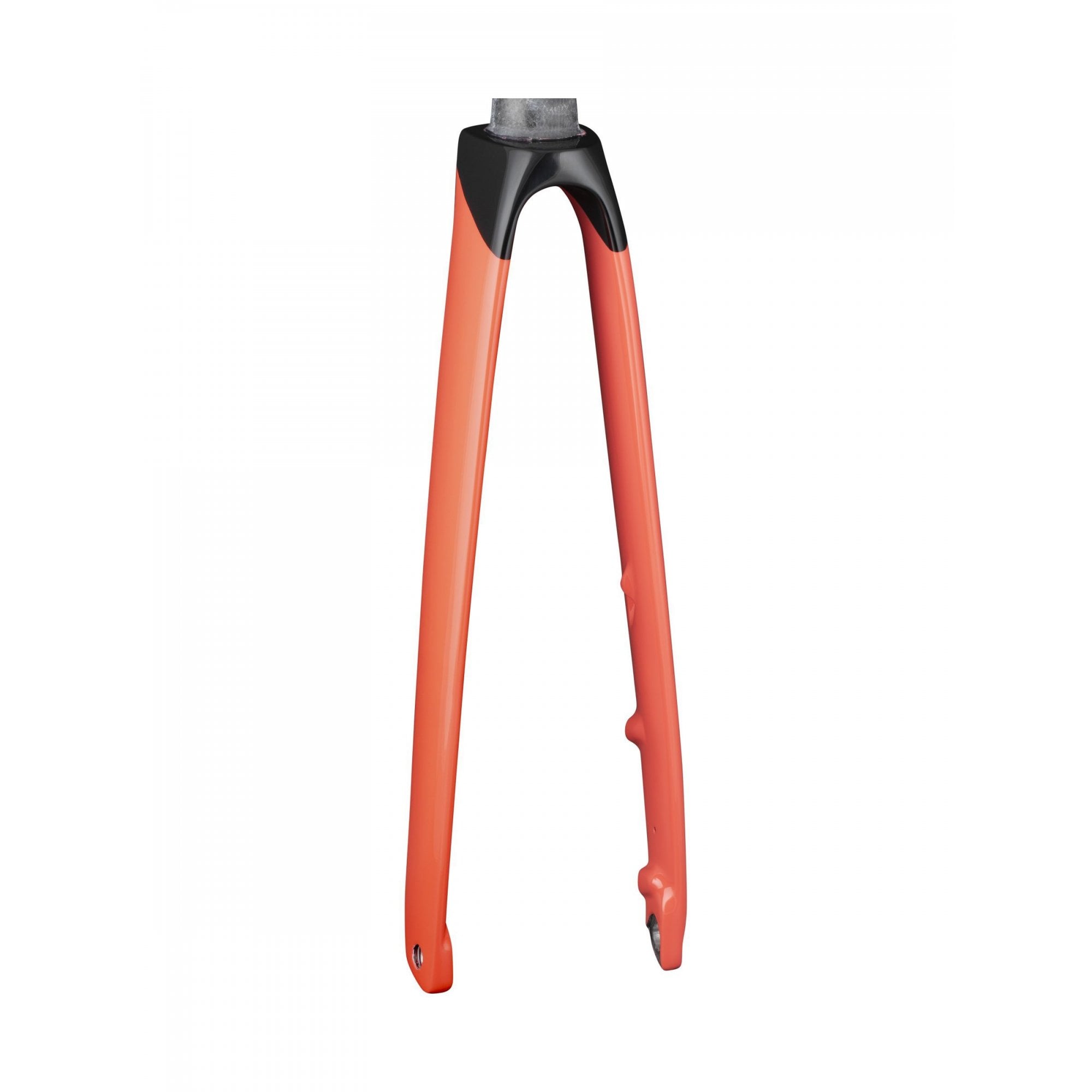 Trek Speed Concept SLR rigid fork for road bikes, showcasing precise steering and control, black component with detailed design.