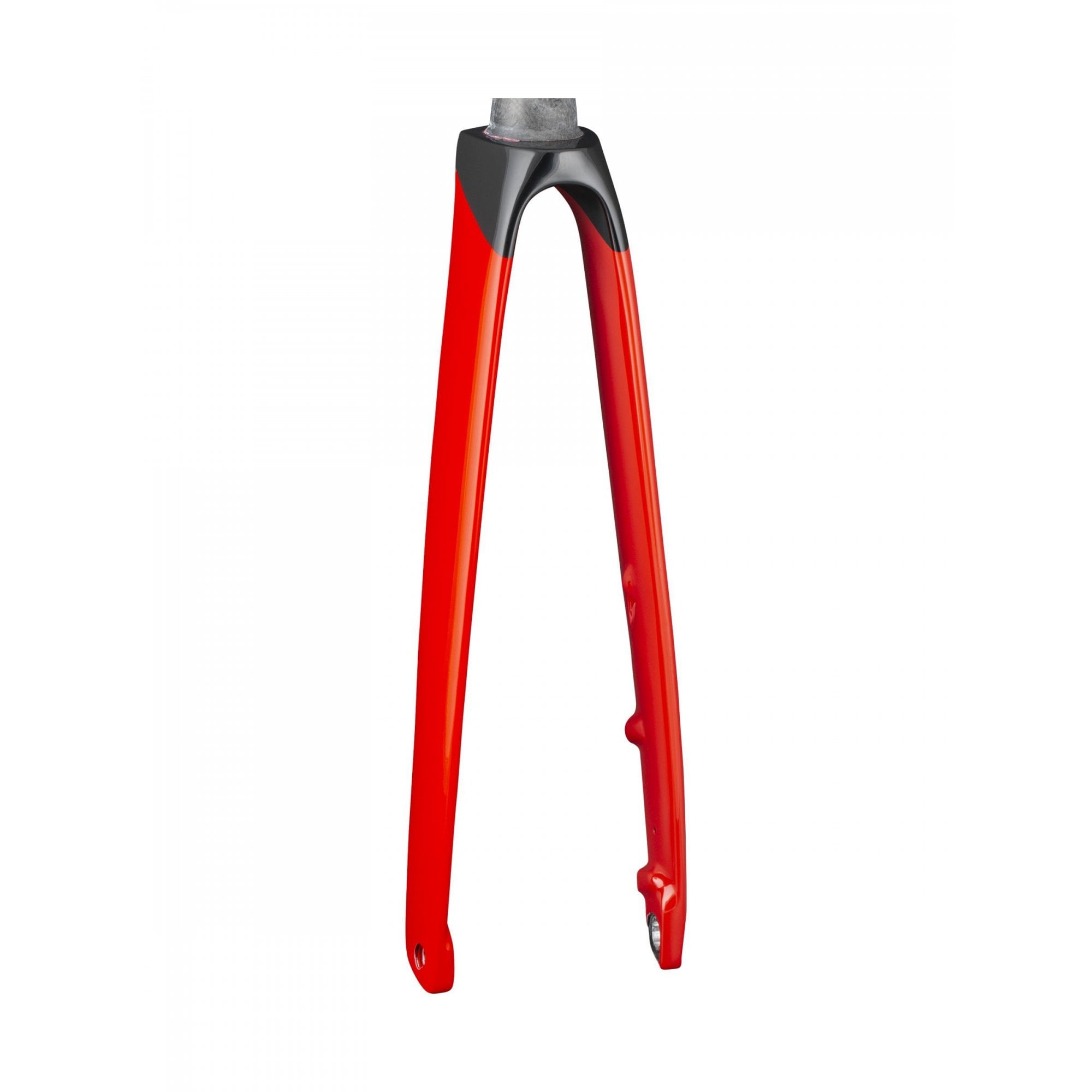 Trek Speed Concept SLR rigid fork for road bikes, featuring precise steering and control, mounted on a sleek road bicycle.